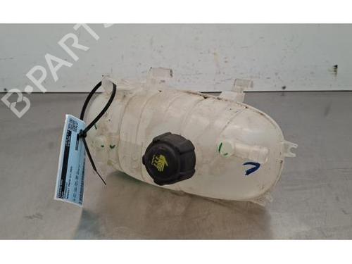 Used Expansion tank Expansion tank RENAULT TRAFIC III Van (FG_) 2.0 dCi 130 (FGMY) (131 hp) 35315000 35315000