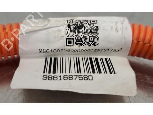 Cable CITROËN C3 IV (CC_, CB_) ë-C3 (CBZYAZ) | BP30310416E12