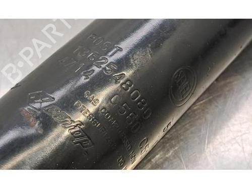 Left rear shock absorber CITROËN JUMPER II Van 2.2 HDi 110 | BP25777934M18 