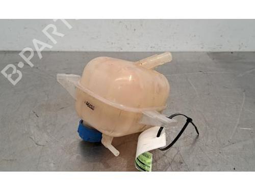 Expansion tank FIAT DOBLO Cargo (263_) 1.3 D Multijet (263WXU1A, 263ZXU1A, 263WYB1A, 263ZYB1A) | BP24014954C120 