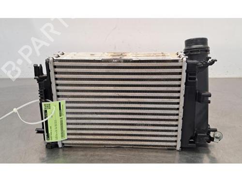 Intercooler RENAULT SCÉNIC IV (J9_) 1.3 TCe 115 (J9N9) (115 hp) 28966501