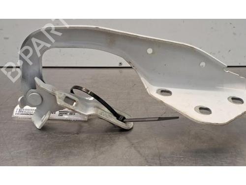 Hinge/Door check strap DACIA DUSTER (HM_) 1.2 TCe 125 (HMMA) | BP40483917C146 - Image 5