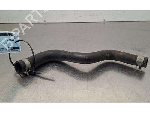 Rohr für Rohr KIA SPORTAGE V (NQ5) 1.6 T-GDI MHEV (150 hp) 34268994 34268994