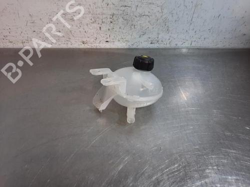 Ekspansjonstank RENAULT MASTER IV Van (F8__) BLUE DCI 150 (F8M3) | BP31273613C120