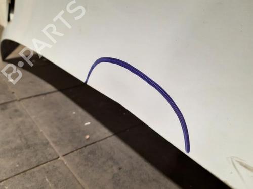 Hood MERCEDES-BENZ SPRINTER 3,5-t Van (B907, B910) 317 CDI RWD (907.631, 907.633, 907.635, 907.637) | BP30500954C1 