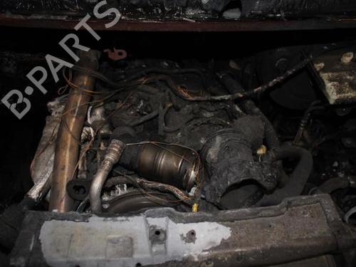 Gearbox RENAULT MASTER III Platform/Chassis (EV, HV, UV) 2.3 dCi 165 RWD (HV0P, HV0U, HV10, HV12, UV0P, UV0U,... | BP10884266M3 