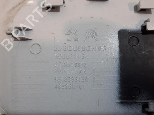 Fuel flap PEUGEOT 208 I (CA_, CC_) 1.5 BlueHDI 100 | BP23596289C131