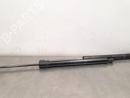 Tailgate lift support FORD TOURNEO CONNECT / GRAND TOURNEO CONNECT V408 MPV 1.6 TDCi | BP17565955C138 