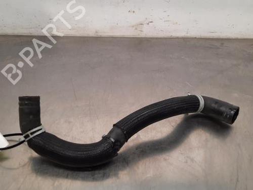 Used Pipe RENAULT CAPTUR II (HF_) TCe 160 (HFN1) (158 hp) 23634327
