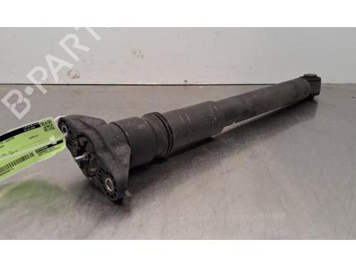 Used Right rear shock absorber CITROËN C4 III (BA_, BB_, BC_) ë-C4 (BCZKWC) (156 hp) 30766528