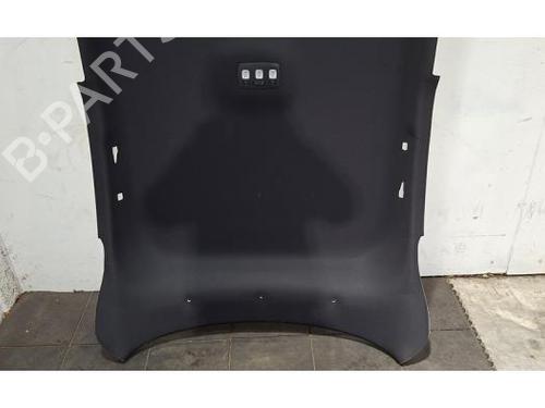 Interior roof RENAULT ARKANA I (LCM_, LDN_) 1.6 E-TECH 145 (LDMU) | BP29879589I12 