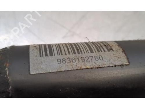 Right rear shock absorber CITROËN C5 X (ND_, NC_) PureTech 130 (NCHNSP) | BP29600707M19 