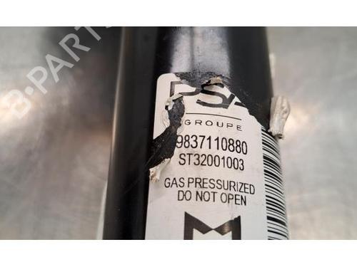 Left front shock absorber DS DS 3 / DS 3 CROSSBACK (UR_, UC_, UJ_) E-TENSE (UZZKXZ) | BP28012407M16 