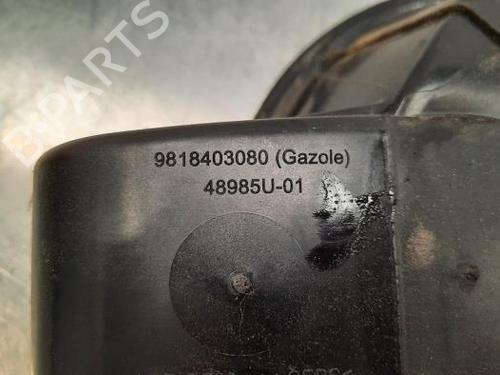 Fuel flap PEUGEOT 208 I (CA_, CC_) 1.5 BlueHDI 100 | BP23605131C131
