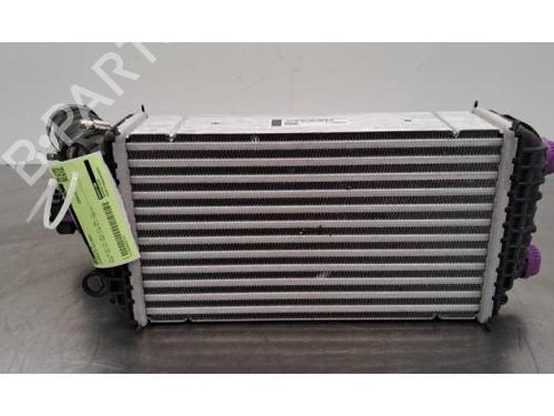Intercooler CITROËN C4 X (BD_, BE_, BF_) 1.2 PureTech 100 (BDHNEA) (101 hp) 29600742