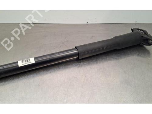 Used Right rear shock absorber CITROËN C3 IV (CC_, CB_) 1.2 PureTech 100 (CCHPV4) (101 hp) 31273334