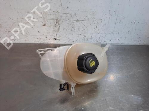 Expansion tank RENAULT TWINGO III (BCM_, BCA_) 1.0 SCe 65 (BCMJ) | BP23606039C120 
