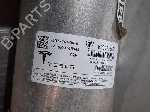 Right rear shock absorber TESLA MODEL X (5YJX) 60D AWD | BP10881859M19 