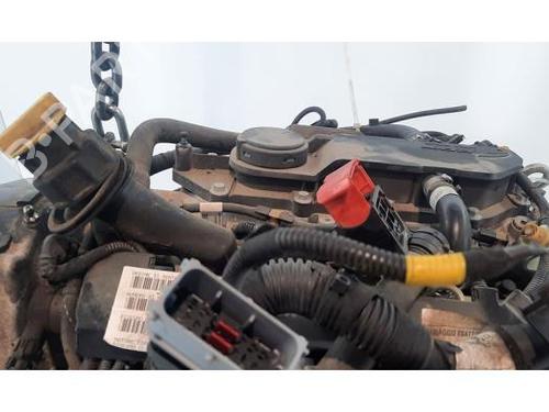 Engine IVECO DAILY VI Platform/Chassis 33S14, 35S14, 35C14, 38S14 | BP30057094M1  - Image 5