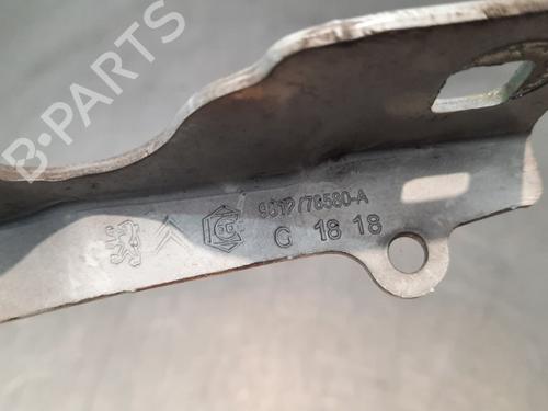 Dørhengsel/Dørstopper CITROËN C3 / C3 ORIGIN III (SX) 1.6 BlueHDi 75 (75 hp) 15036835