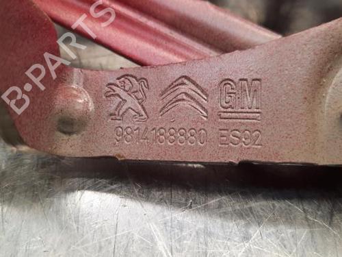 Hinge/Door check strap PEUGEOT 3008 II SUV (MC_, MR_, MJ_, M4_) 1.2 THP/ PureTech 130 (MRHNSM, MRHNSU, MRHNSJ, MRHNYW,... | BP23621840C146