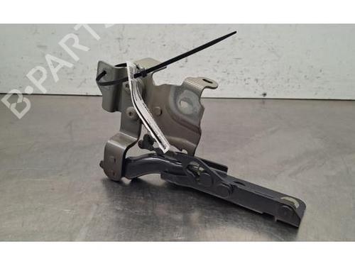 Used Hinge/Door check strap Hinge/Door check strap DS DS 4 II (FR_, FB_, F3_, FP_) PureTech 225 (FP5GGT) (224 hp) 40517775 40517775