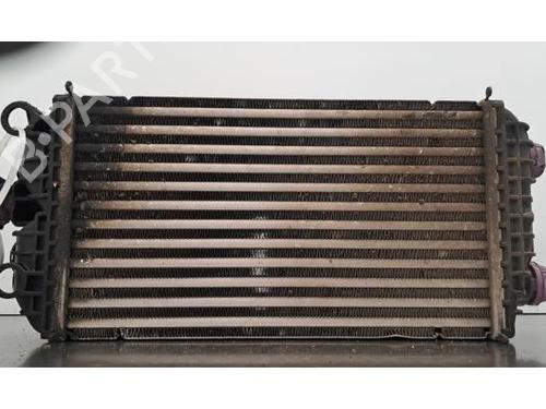 Intercooler DS DS 3 / DS 3 CROSSBACK (UR_, UC_, UJ_) 1.5 BlueHDi 130 (UCYHZR) | BP30194987M30 