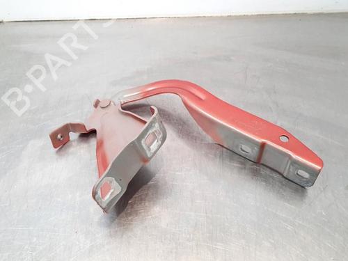 Hinge/Door check strap RENAULT KADJAR (HA_, HL_) 1.3 TCe 140 (HLNB, HLN1) | BP15027843C146 