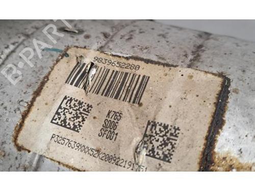 Catalyst PEUGEOT PARTNER Box Body/MPV (K9) 1.5 BlueHDI 130 | BP29222968M10 