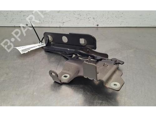 Used Hinge/Door check strap Hinge/Door check strap DS DS 4 II (FR_, FB_, F3_, FP_) PureTech 225 (FP5GGT) (224 hp) 40517772 40517772