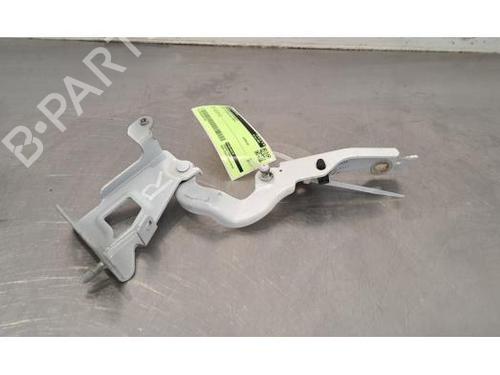 Hinge/Door check strap FIAT TALENTO Van (296_) 2.0 EcoJet | BP25750068C146 
