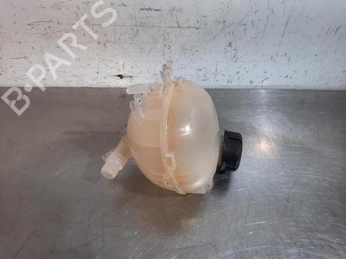 Used Expansion tank PEUGEOT 208 II (UB_, UP_, UW_, UJ_) 1.5 BlueHDI 100 (102 hp) 23599119