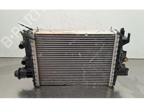 Intercooler Intercooler DACIA BIGSTER 1.2 TCe 140 (RYMH) (140 hp) 39754792 39754792