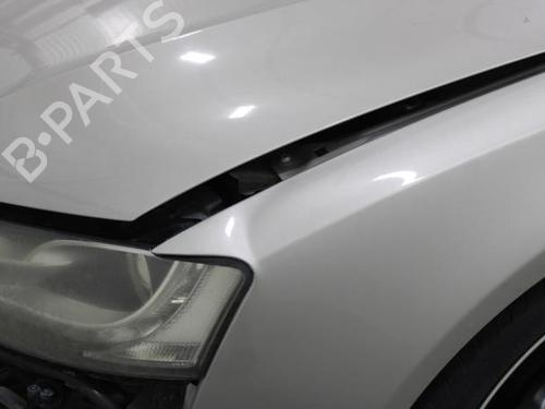 Display monitor AUDI A5 (8T3) 3.0 TDI quattro | BP32284632C48 