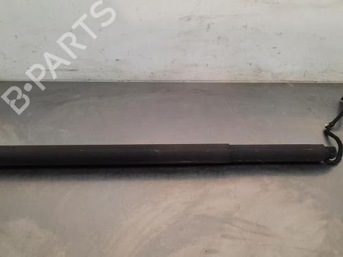 Tailgate lift support BMW X4 (G02, F98) xDrive 30 d | BP23612829C138 