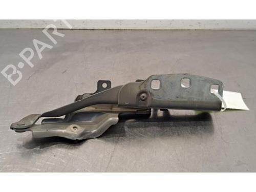 Hinge/Door check strap PEUGEOT 508 SW II (FC_, FJ_, F4_) PureTech 130 | BP29817791C146 