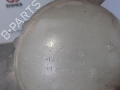 Expansion tank PEUGEOT 3008 I MPV (0U_) 2.0 HDi 150 / BlueHDi 150 | BP10881374C120 