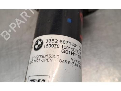 Left rear shock absorber BMW X3 (G01, F97, G08) xDrive 20 d | BP29643262M18 