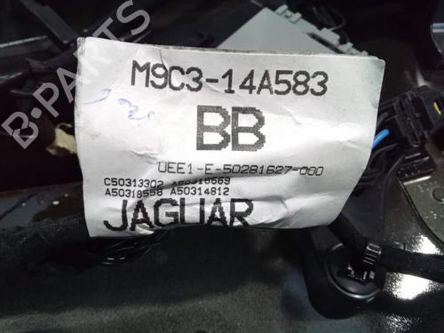 Tailgate JAGUAR F-PACE (X761) 2.0 TD4 | BP19576415C6 