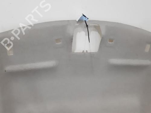 Interior roof CITROËN C3 III Van (SX_, SY_) BlueHDi 100 | BP11727890I12 