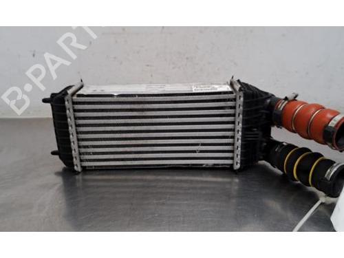 Intercooler Intercooler OPEL CROSSLAND X / CROSSLAND (P17, P2QO) 1.2 (75) (110 hp) 36480375 36480375