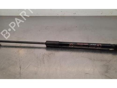 Used Hood lift support HYUNDAI i10 III (AC3, AI3) 1.0 MPi (63 hp) 28490882