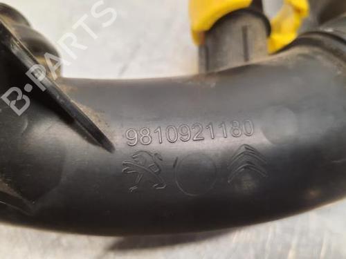 Pipe PEUGEOT 3008 II SUV (MC_, MR_, MJ_, M4_) 1.5 BlueHDi 130 | BP23596965M125 