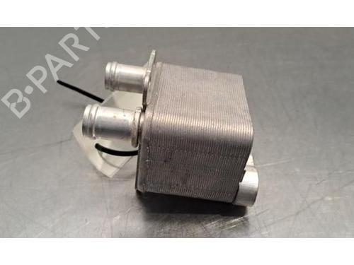 Electronic module AUDI E-TRON (GEN) 55 quattro | BP30915868M83 