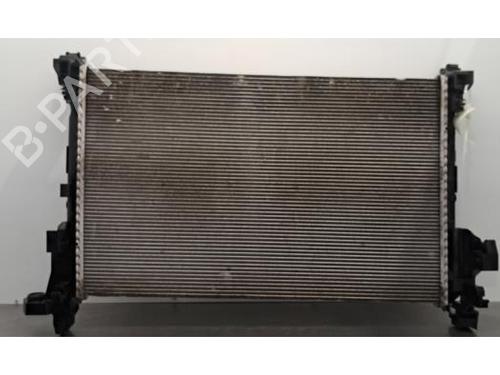 Used Water radiator RENAULT TRAFIC III Van (FG_) 2.0 dCi 120 (FGMN) (120 hp) 32253413