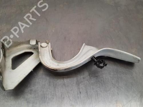 Hinge/Door check strap FIAT DOBLO Cargo (263_) 1.3 D Multijet (263WXU1A, 263ZXU1A, 263WYB1A, 263ZYB1A) | BP23597972C146 