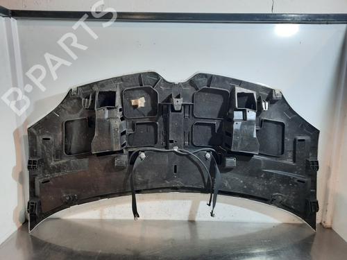 Hood RENAULT TWINGO III (BCM_, BCA_) 1.0 SCe 70 | BP17565529C1