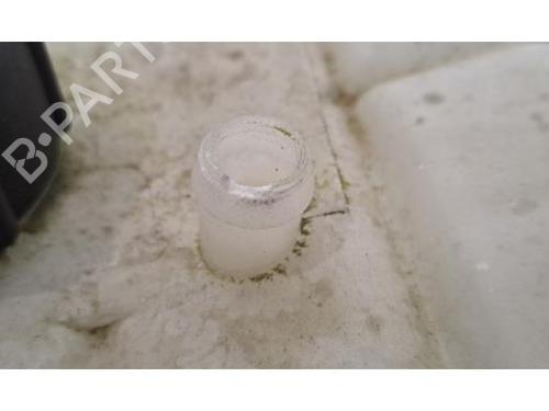 Expansion tank RENAULT SCÉNIC IV (J9_) 1.7 Blue dCi 120 (J9A7, J9A8) | BP30057219C120 