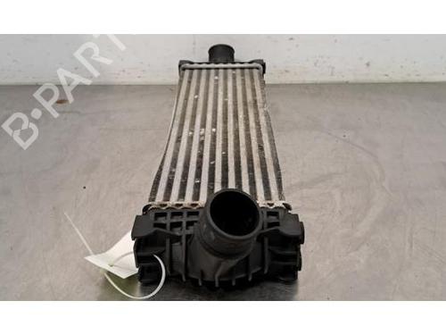 Intercooler FORD TRANSIT V363 Van (FCD, FDD) 2.0 EcoBlue | BP30057254M30