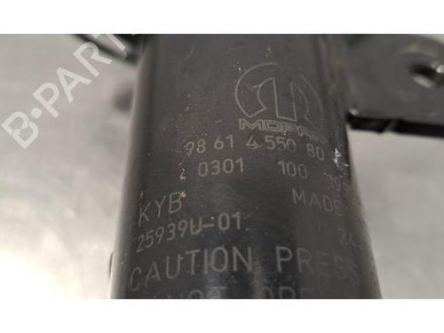 Left front shock absorber CITROËN C3 IV (CC_, CB_) ë-C3 (CBZYAZ) | BP31155012M16